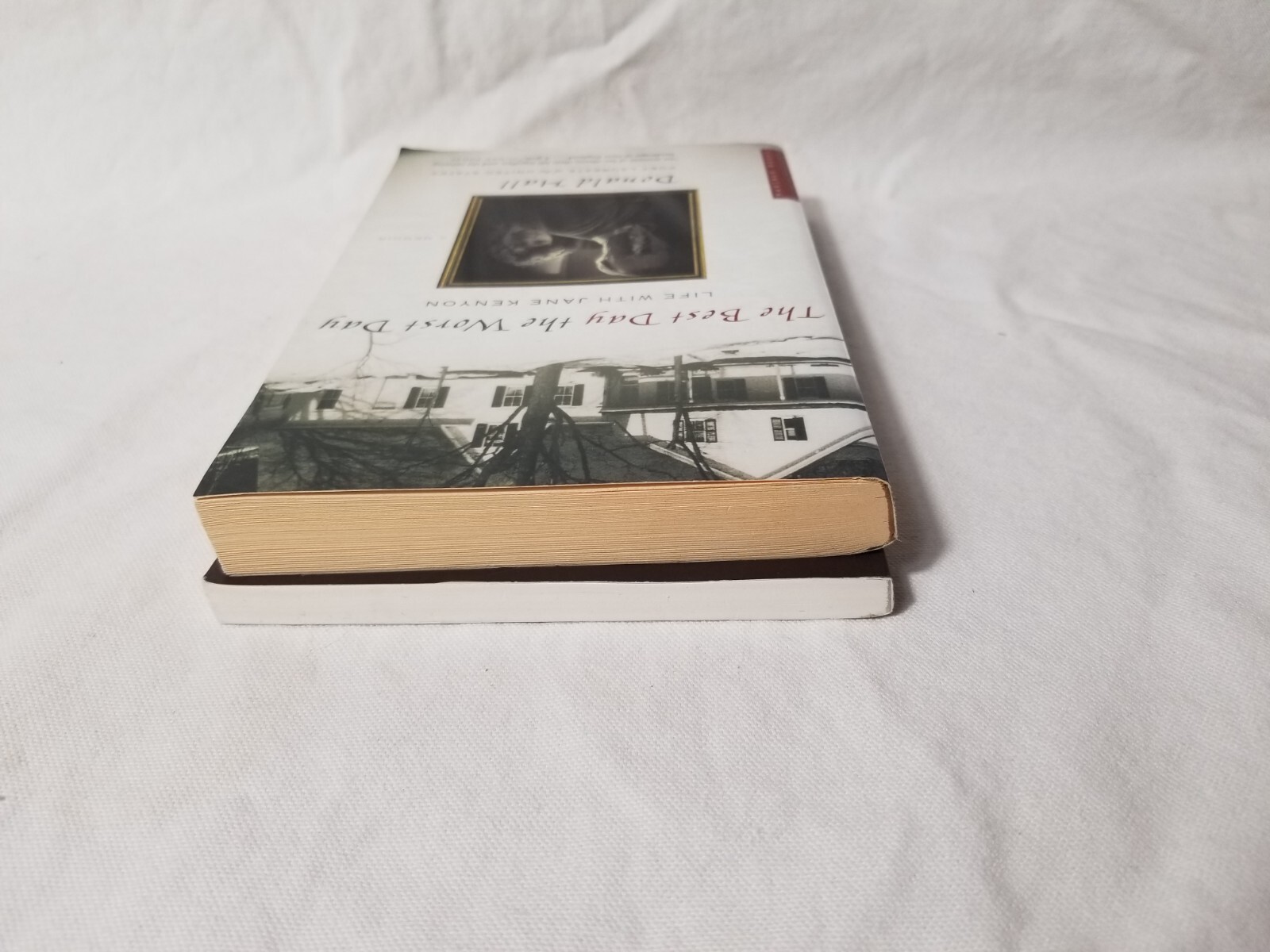 2 Donald Hall Nonfiction Lyrical Memoir Set: Life Work & Best Day The Worst Day