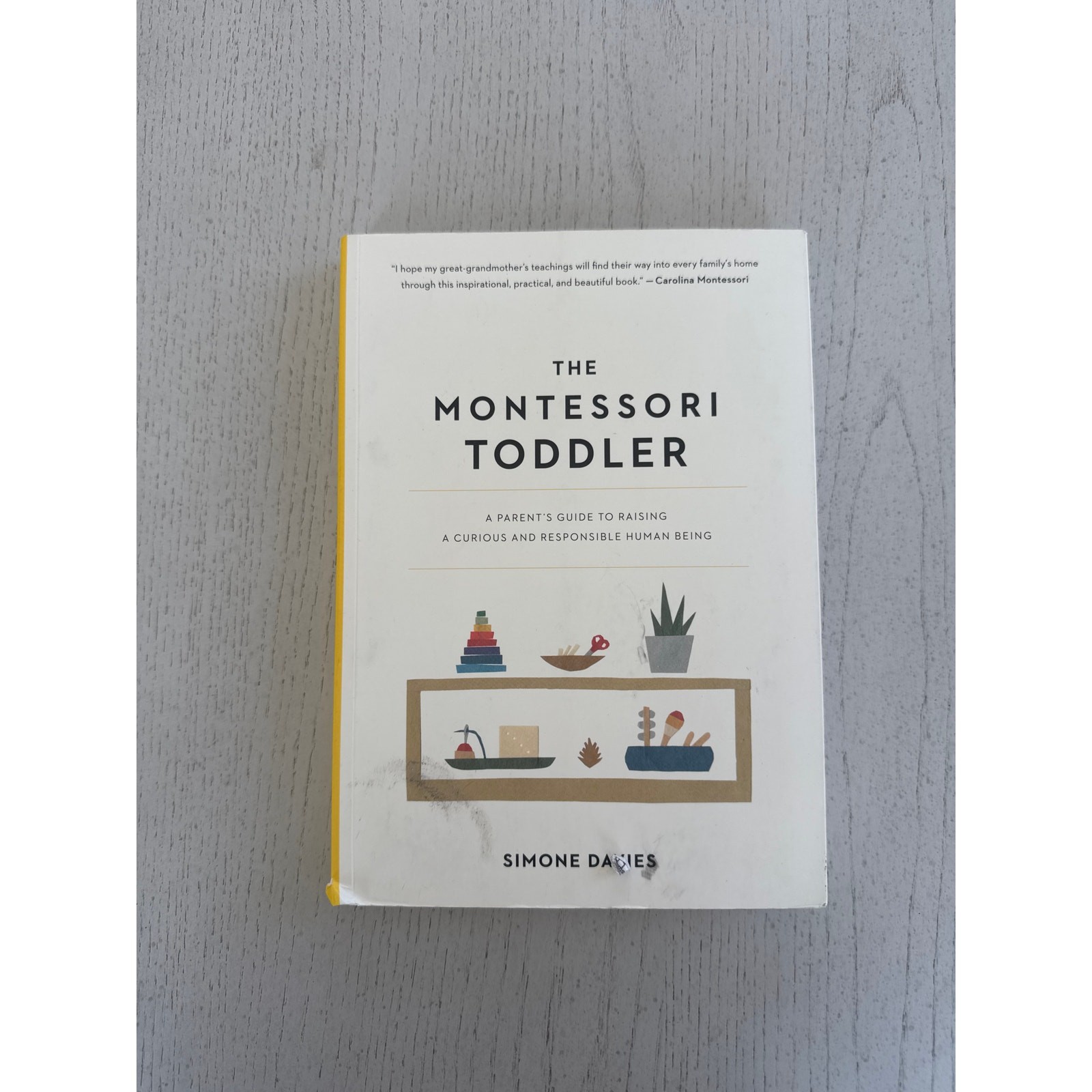 The Montessori Toddler by Simone Dacies