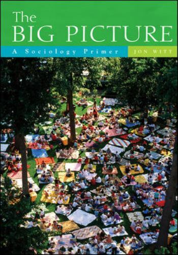 The Big Picture: A Sociology Primer by Witt, Jon