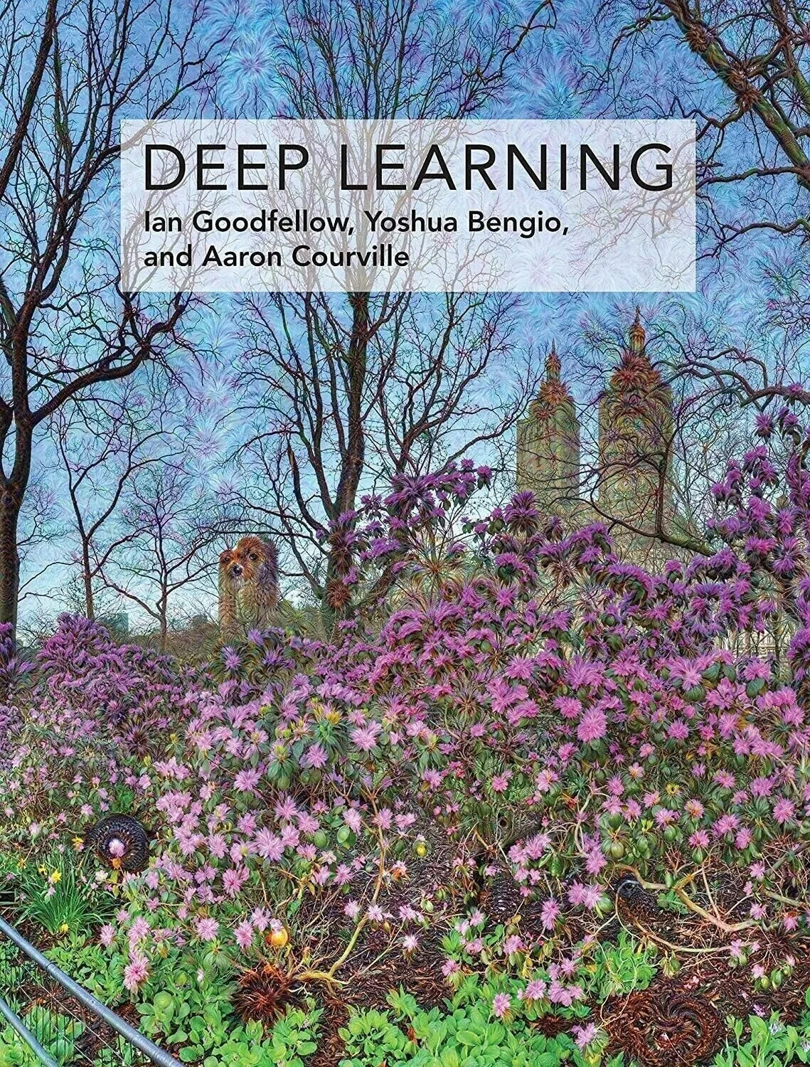 Deep Learning (Adaptive Computation and Machine Learning series) FAST SHIPPING